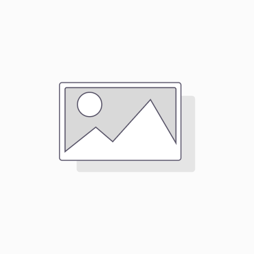 [E-MO162052A] E-MO162052A Morini O-Ring